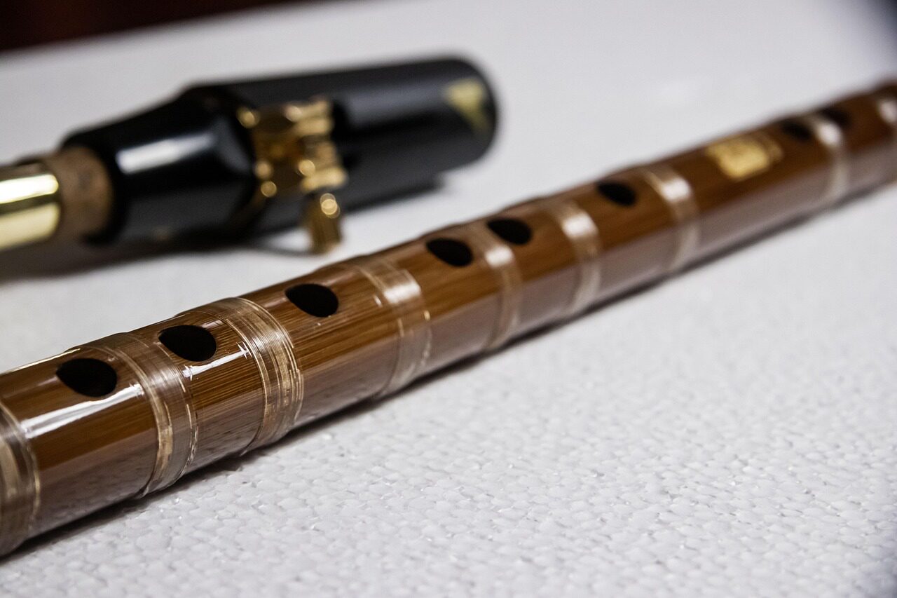 when will my life begin   tangled flute cover