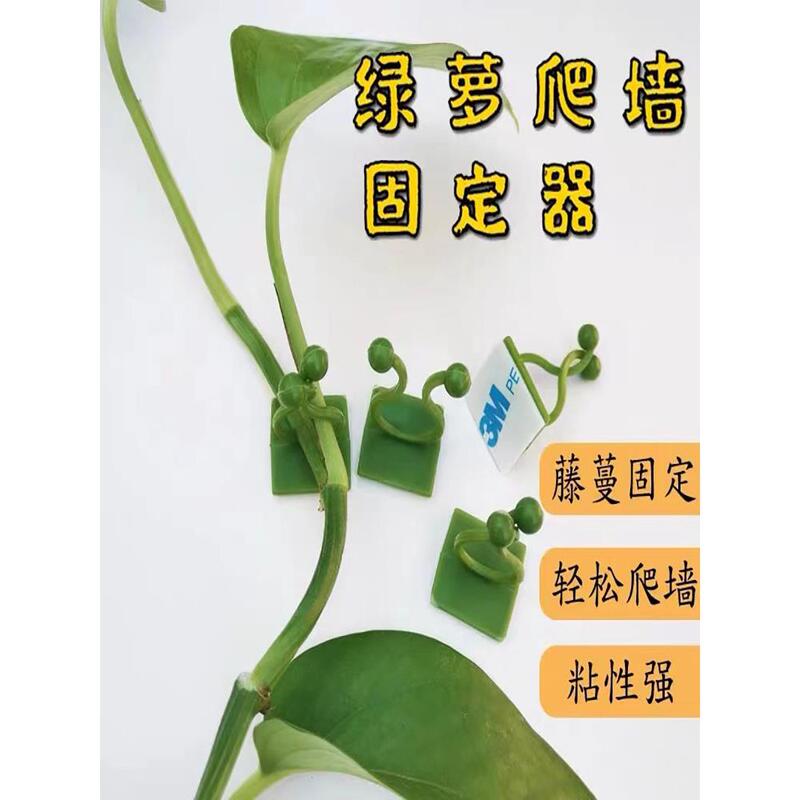 Traceless Double-Sided Garden Flower Pot Multi-Layer Green Plant Wall Mount Bracket Clip Hook Adhesive Hook for Hanging Traceless Double-Sided Garden Flower Pot Multi-Layer Green Plant Wall Mount Bracket Clip Hook Adhesive Hook for Hanging