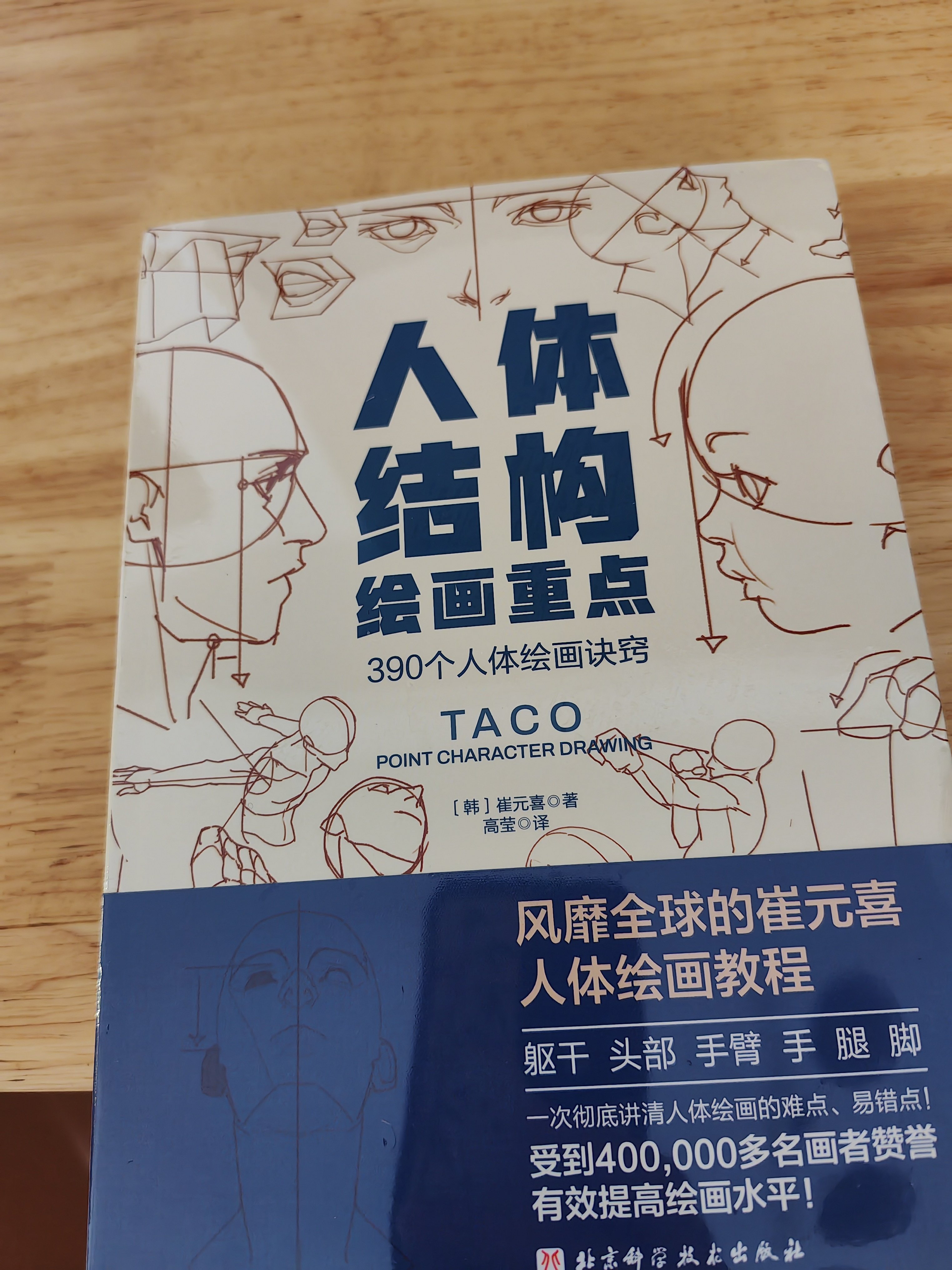 ArtStation - 头部结构解析, image size:3048x4064