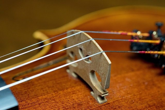 how to hold violin bow