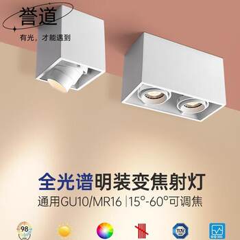 Yudao surface-mounted double-head spotlight living room anti-glare smart dimming color-less main light bold light conjoined downlight cob