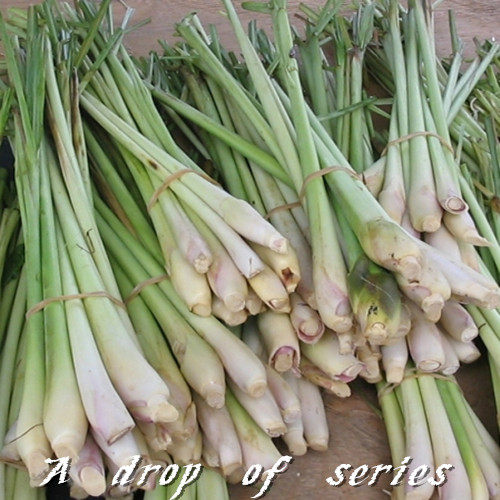 Fresh Lemon Citronella Constriction Pores Germicidal Balance Grease Mosquito Repellent Optional-Taobao