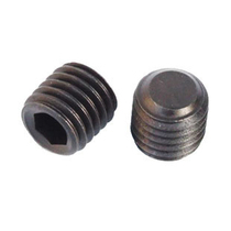Inner hexagonal flat end tightening screw machine rice M4 *L 500 copies only