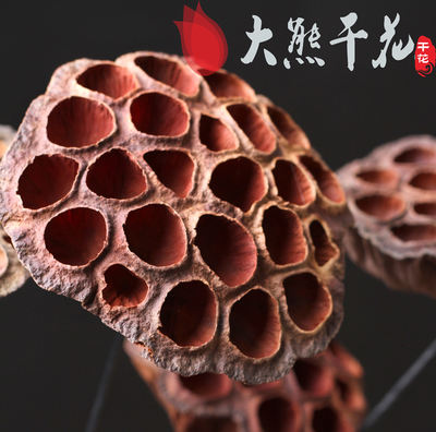 The popular seedless metal rod lotus pod, large-sized plump dried flower bag decoration, artificial flower living room floor simulation