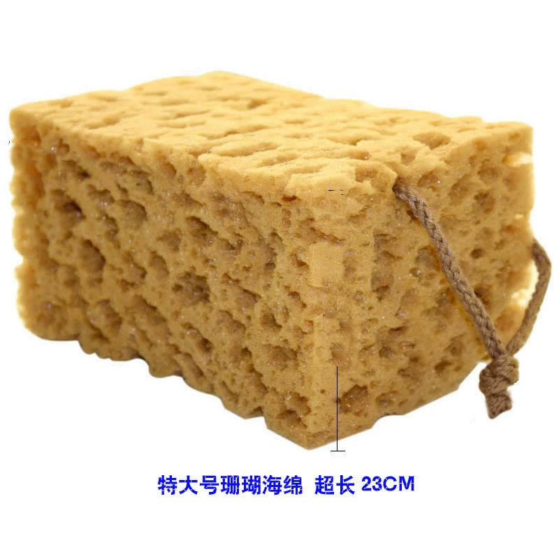 Rửa xe ô tô lớn bằng bọt biển khử trùng chuyên sâu bọt không làm tổn thương sơn xe bọt biển san hô hấp thụ nước macropious cung cấp nước rửa xe - Sản phẩm làm sạch xe