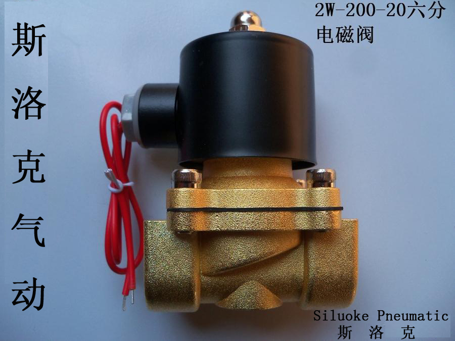 Copper coil All-copper 6 Sub-solenoid valve Water Valve 2W200-20 6 Sub-calibre AC220V Sloke Siluoke-Taobao
