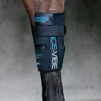 ICE-VIBE horse horse leg guard with ice bag vibration massage to prevent swelling BCL337510