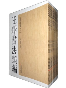 正版图书 王铎书法类编 8开套装共20册 陈惠东  王铎书法全集 天津人美