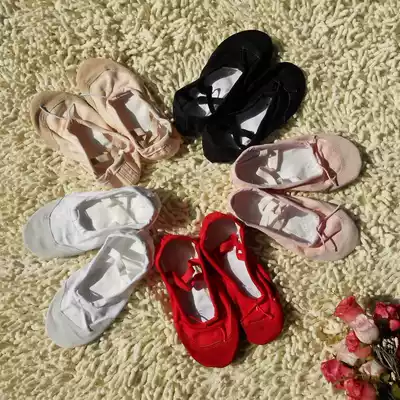 ★Gold Star brand★Two-point shoes, cat scratch shoes, dance shoes, gymnastics shoes, practice shoes, multi-color leather head