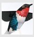 Full 68 Mô hình giấy thủ công 3D cha mẹ và con DIY Mô hình giấy chim Hummingbird với mô tả giấy Trung Quốc mô hình giấy 3d	 Mô hình giấy