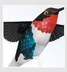 Full 68 Mô hình giấy thủ công 3D cha mẹ và con DIY Mô hình giấy chim Hummingbird với mô tả giấy Trung Quốc Mô hình giấy