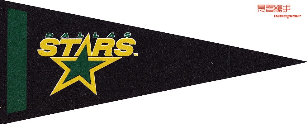 NHL Dallas Stars Official Pennant Team Logo