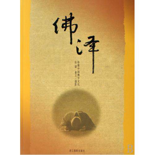 佛泽--影像中国佛学文化 正版保证 张望 人文社会9787806866108
