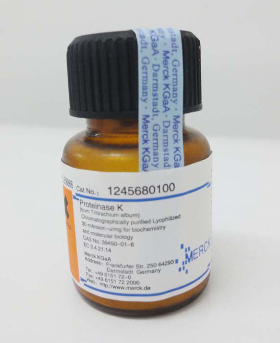 Experimental reagent Merck original protease K Proteinase K 1 24568