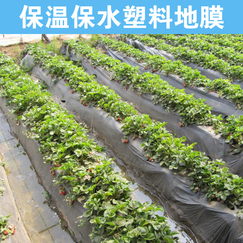 Strawberry peanut planting mulch water retention moisturizing agricultural anti-meadow cloth plastic film black covering film 2345 silk