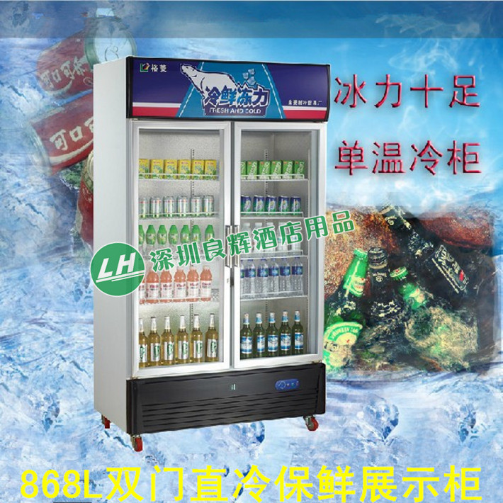 Gold Ling G868L2 Double Door Refrigerated Glass Display Case Commercial Straight Cold Single Warm Vertical Preservation Cabinet Special Price