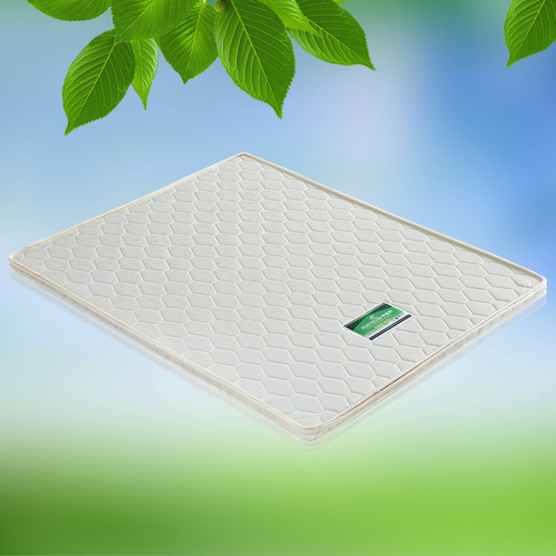 ��������ͯ����ר���ص�333����