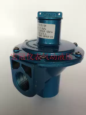 Evergreen Chuangerte low pressure regulator regulator valve RTZ-21 20 pipeline gas liquefied gas pressure regulation