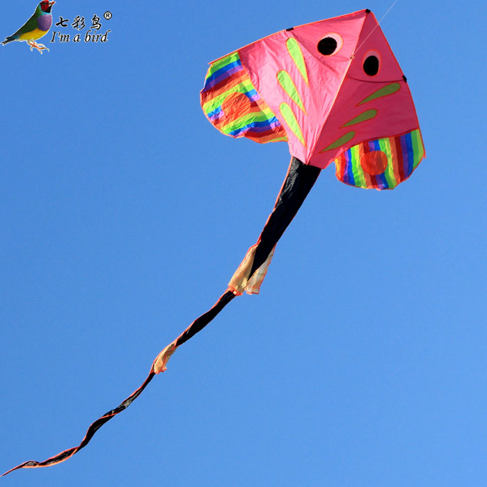 Weifang kite new kite 5m new long tail fish kite good to fly