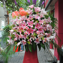 Daji Dali opened and opened Daji Hotel Companys housewarming celebration opening flower basket Shanghai flower shop flower delivery