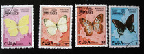 Cuban butterfly 4 pins