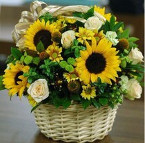  Portable small flower basket sunflower champagne rose daisies mixed and matched Shanghai flower shop same city flower express flower delivery