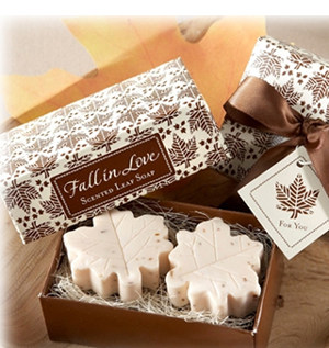 Haoin��������H026