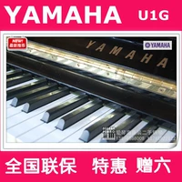 Đàn piano cũ Yamaha Nhật Bản Yamaha U1G chất lượng cao tông màu tốt 99 mới 2013 ưu đãi đặc biệt yamaha p95