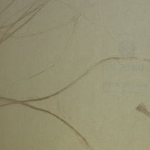 Hot Pins Western Unique Style Natural Simplicity About QSM205 Sprinkling Wallpaper RMB118  1 volume 5 square meters