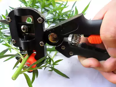 * Taiwan sssts grafting film fruit and vegetable flower grafting machine grafting shears grafting tree flower grafting