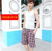 Quần short cotton nam quần tây Quần short trung niên quần thun nam thun cotton thường giặt quần eo cao