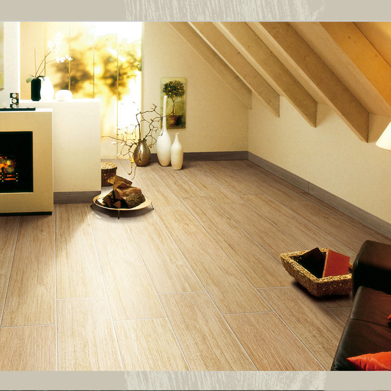 ��;ŷʽ��שFM6801