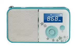 Panda DS-111 Digital Mini Audio DS-111 Panda Insert Tf Card Audio DS111 Radio