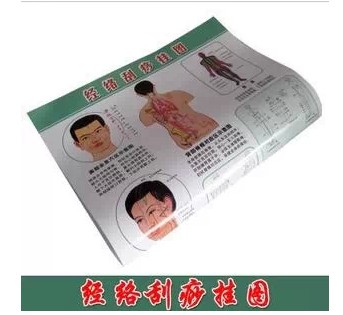 Zhang Xiuqin Holographic Meridian Color Double Sided Gua Sha Wall Chart (Specification 52*37cm)