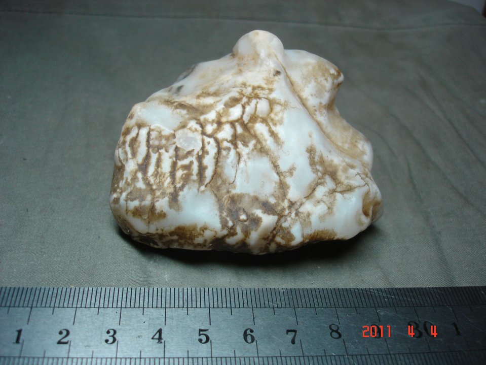 442 Robb Poopin Stone in a stone's head.