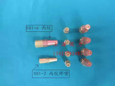 H01-6 Propane welding nozzle Plum blossom welding nozzle Propane welding nozzle Gas gas 1# 2 3 4 5