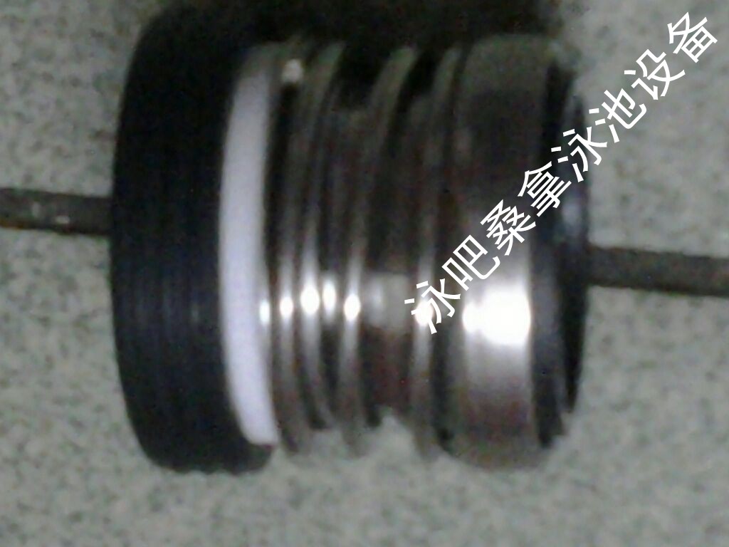 Radar Water Pump Seals Original Fitting Radar 3HP Water Pump Seals Water Pump Accessories Cavity Body Swimming Pool Equipment