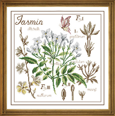 Hu Lili Cross Stitch DMC Kit Jasmine Linen With 3D 5D Precision Printed Fabric