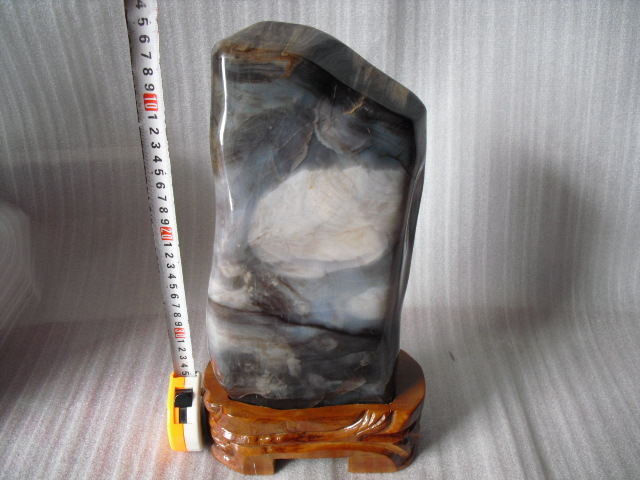 Liaoxi paleontological strange stone ornamental stone tree fossil silicified wood boutique tree jade 807