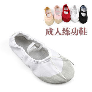 Practice Shoes Adults Dance Shoes Tai Chi Soft Bottom Martial Arts Ballet Shoes Cloth Leather Tai Chi Shoes Cat Paw Shoes