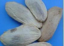 Chinese herbal medicine mango core 500g