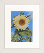 Out-of-print Dutch original LA Lanarte35045 cross stitch kit 27CT printed cloth spot physical map