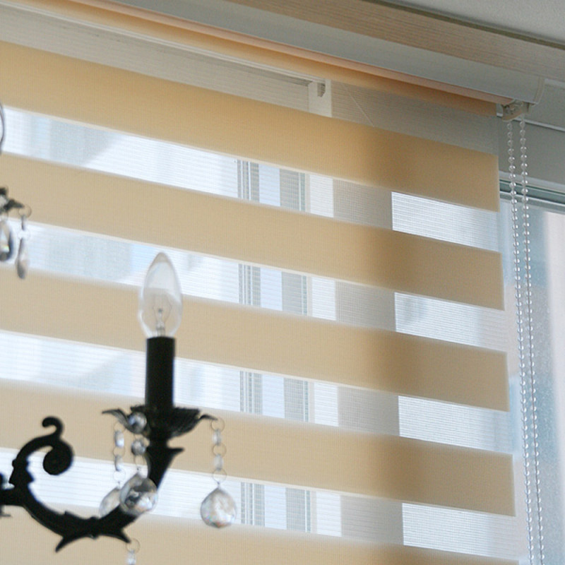 ǧ��ʺ�����Ҷ��������CL-RSL--6