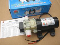 Miniature water pump Plandi PLD-1206 12V high pressure water gun car wash pump Electric sprayer water pump