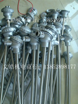 Professional production of thermocouple thermal resistance sensor temperature probe WZP WRN-130 WZP2 WRN2
