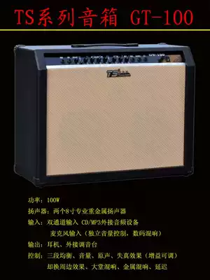 Electronic organ drum accompaniment guitar speaker 40 Watt 60 Watt 100 watt band speaker multifunctional speaker