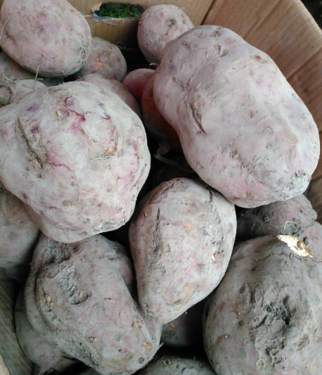 Wenzhou Hometown Taste of Yongjia Nan Creek Jiangterproduce Potato Potato melon-Taobao