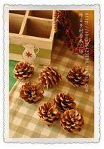(Yesterday Country) Primeval Forest Natural Pine Cone Large Six Medium 10 Christmas Decoration