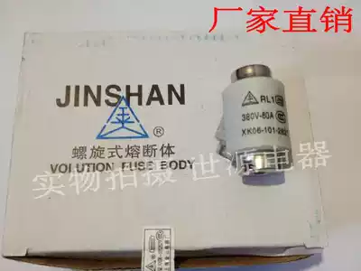 Spiral fuse RL1-60 fusible core fuse 20A 25A 30A 50A 60A