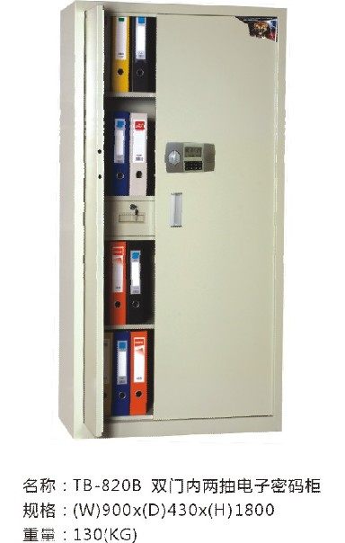 Tiebao safe TB-820B double door two pump security cabinet file security cabinet free home delivery